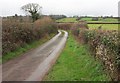 SX9579 : Branscombe Lane by Derek Harper