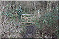 ST2097 : Gate, Ebbw Valley Walk, Newbridge by M J Roscoe