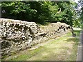 TL1306 : Verulamium - City Wall Remains by Colin Smith