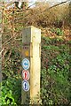 SX9268 : Waymarks, Maidencombe by Derek Harper