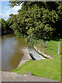 SJ6832 : Canal at Tyrley Locks, Shropshire by Roger  D Kidd