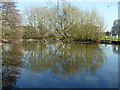 TQ2965 : Pond, Beddington Park by Robin Webster