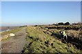 SJ2390 : North Wirral Coastal Park (Meols Dunes) by Jeff Buck