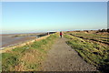 SJ2490 : Path through the Wirral Coastal Park by Jeff Buck