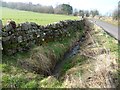 NY8113 : Roadside drainage ditch, west of Powbrand Bridge by Christine Johnstone