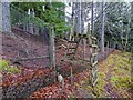 NH6167 : Deer Fence on Cat Hill by valenta