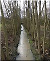 SK5500 : Lubbesthorpe Brook in the Osiers Nature Area by Mat Fascione