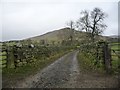 NY6925 : Drystone walls containing white quartz boulders by Christine Johnstone