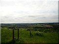 NZ0950 : View from the top of the escarpment by Robert Graham