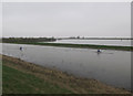 TL4177 : Scullers on the New Bedford River by Hugh Venables