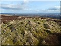 NS4674 : The Robin Law Cairn by Lairich Rig