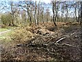 SJ9819 : Brocton Camp - Practice Trenches by John M