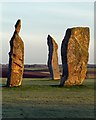 NO4002 : Standing Stones of Lundin by Greg Fitchett