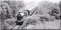 J1585 : Steam train near Antrim (September 1983) by Albert Bridge