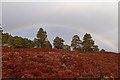 NO0589 : Braes of Carn an 'lc Duibhe by Mick Garratt