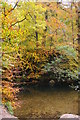 SX0962 : Looking across the River Fowey, Brownqueen Wood by Christopher Hilton