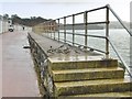 SX8961 : Preston, turnstones by Mike Faherty