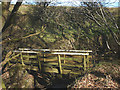 SD6564 : Wooden footbridge, Bull Gill by Karl and Ali