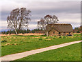 NH7444 : Culloden Battlefield, Leanach Cottage by David Dixon