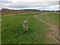 NH7444 : Clan Headstones, Culloden Battlefield by David Dixon