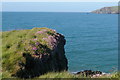 SN0339 : Cliffs at Penrhyn y Fforest by Christopher Hilton