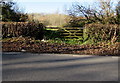 ST1572 : Wooden gate at the edge of woodland north of Dinas Powys by Jaggery