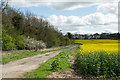 NZ2622 : Route of public footpath alongside field by Trevor Littlewood