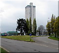 ST2995 : Trees dwarfed by the Tower Block, Cwmbran by Jaggery