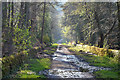 SK2786 : Wyming Brook Track, Sheffield by Andrew Tryon