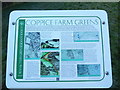 SU9094 : Display Board at Coppice Farm Greens by David Hillas