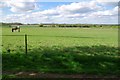  : Paddocks Near Skreens Park by Glyn Baker