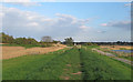 TM4992 : Looking back along Angles Way, Carlton Marshes by Roger Jones