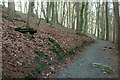  : Path in Strid Wood by Derek Harper