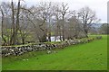 NT1837 : Old wall, Stobo by Jim Barton