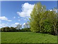 TM2257 : Martins' Meadows Nature Reserve by Oliver Dixon