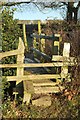 SE2347 : Double stile, Leathley Park by Derek Harper