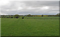 TM4487 : Looking over pasture from Church Road, Ellough by Roger Jones