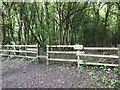 SJ8048 : Entrance to Podmore Woods by Jonathan Hutchins