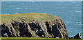 D4602 : The South Head, Portmuck, Islandmagee (May 2017) by Albert Bridge