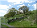 SJ9890 : The Cown Edge Way at Smithy Lane Farm by Graham Hogg