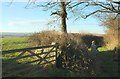 SS2602 : Gate and green lane, Newacott Cross by Derek Harper