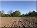 SJ7949 : Public footpath across harrowed field by Jonathan Hutchins