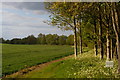 TL5238 : Looking north along the valley of the River Cam, from Audley End by Christopher Hilton