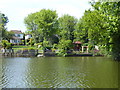 TQ5189 : Gardens in Lake Rise seen from Raphael Park by Marathon