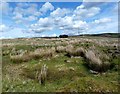 NS2772 : Darndaff Moor - Bomb Crater by Raibeart MacAoidh