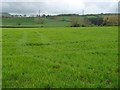  : Nant Meifod farmland by Christine Johnstone