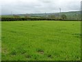  : Hedged farmland, south of the B5381 by Christine Johnstone