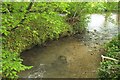 SX7254 : Stream joining the Avon near Strechney by Derek Harper