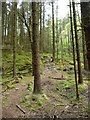 SH6842 : Waymarked public footpath, below Clogwyn y Geifr by Christine Johnstone