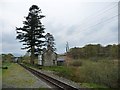 SH6742 : Dduallt Station, looking south by Christine Johnstone